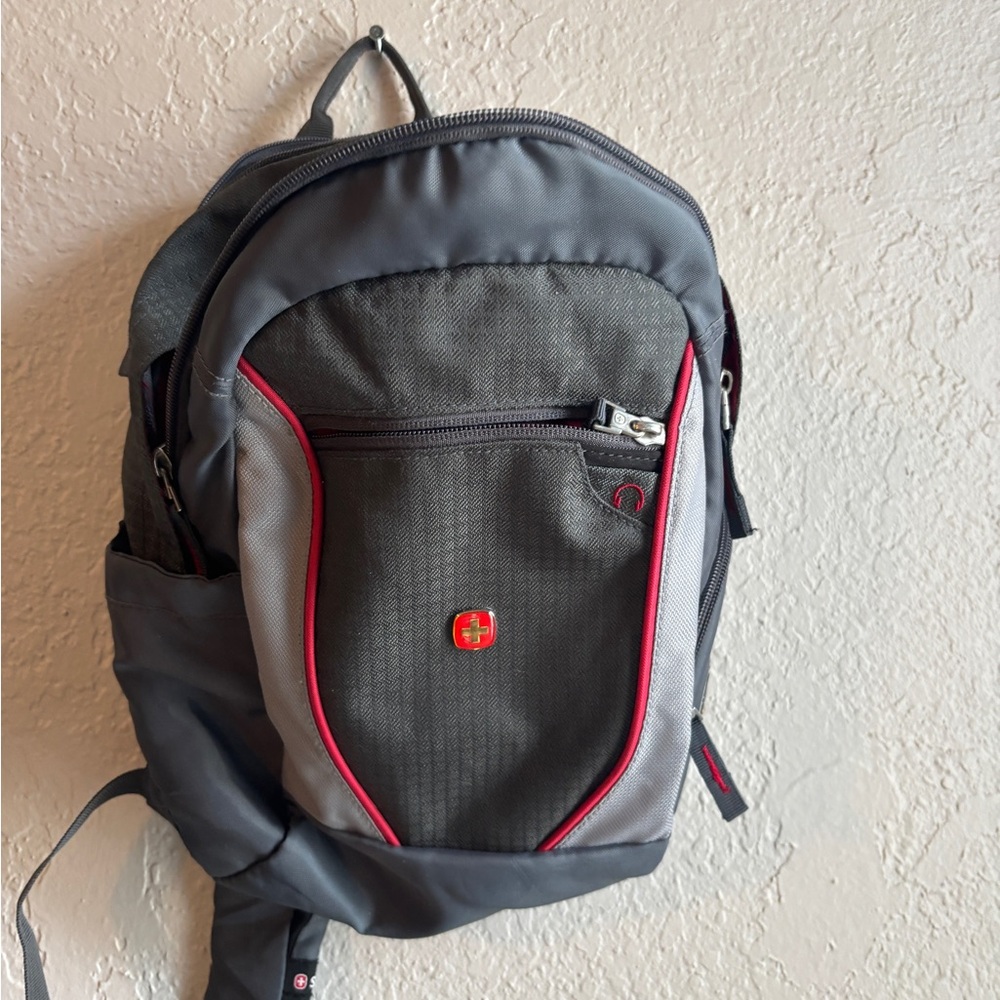 Stylish Gray and Red Men's Backpack